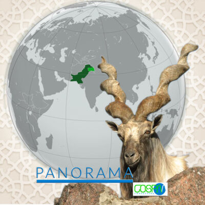 pakistan