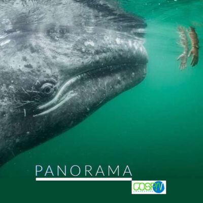 economia-oceani